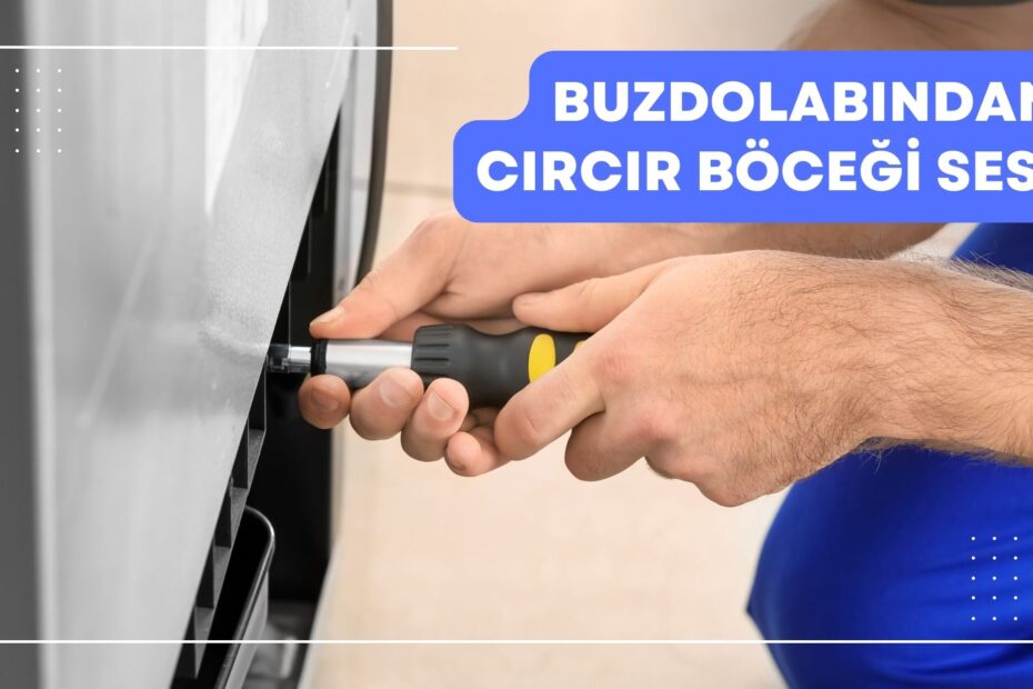 Buzdolabından Cırcır Böceği Sesi